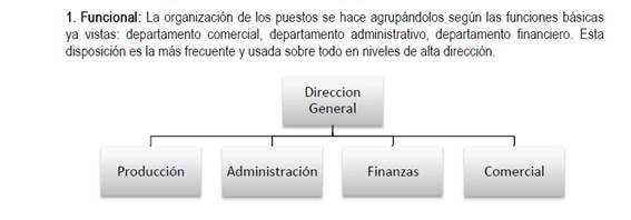 EE%20TEMA%205%20LA%20ORGANIZACI%C3%93N%20Y%20DIRECCI%C3%93N%20DE%20LA%20EMPRESA_clip_image001.png